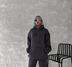 Kapüşonlu Üç İplik Penye Basic SweatShirt - Füme